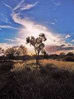Kata Tjuta Sonnenuntergang / Sunset